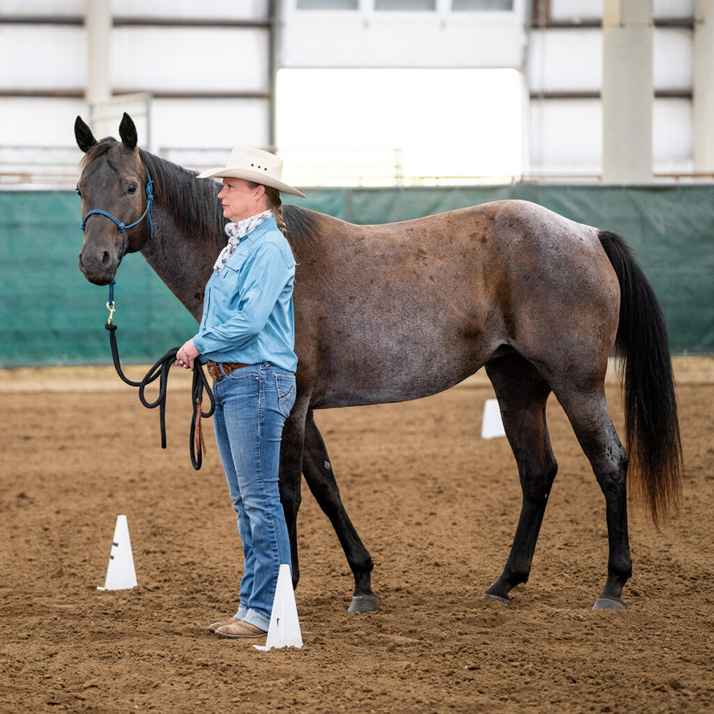 A woman and her horse during a Nebraska Dressage Show